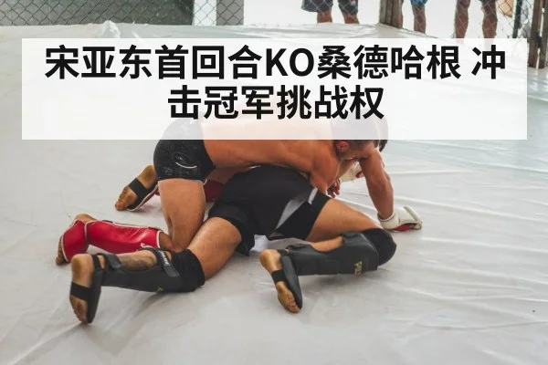 宋亚东首回合KO桑德哈根 冲击冠军挑战权