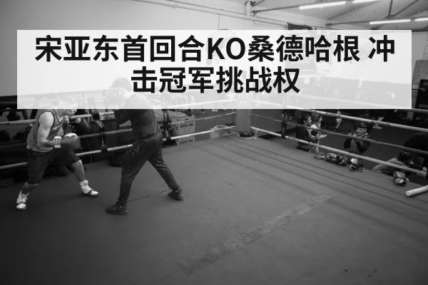 boxer training gym