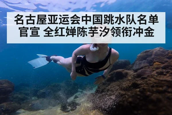名古屋亚运会中国跳水队名单官宣 全红婵陈芋汐领衔冲金
